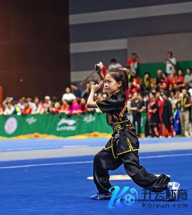 李连杰新身份:001号毕生志愿者 助力技击梦