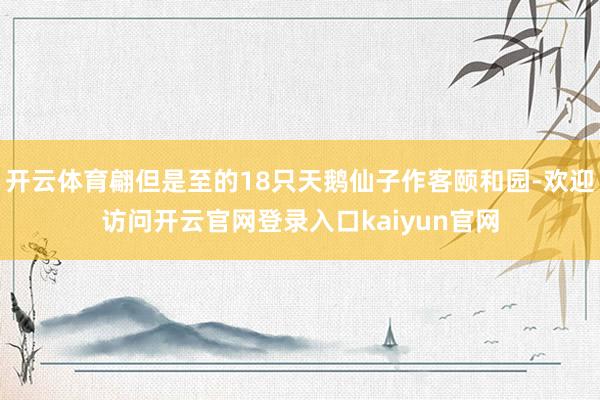 开云体育翩但是至的18只天鹅仙子作客颐和园-欢迎访问开云官网登录入口kaiyun官网