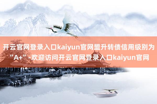开云官网登录入口kaiyun官网盟升转债信用级别为“A+”-欢迎访问开云官网登录入口kaiyun官网