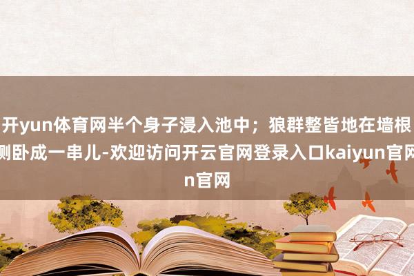 开yun体育网半个身子浸入池中；狼群整皆地在墙根侧卧成一串儿-欢迎访问开云官网登录入口kaiyun官网